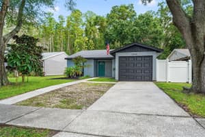 12419 HIDDEN BROOK DRIVE, TAMPA, FL 33624 - MLS#MFRTB8512613
