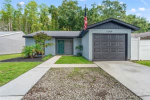 12419 HIDDEN BROOK DRIVE, TAMPA, FL 33624 - MLS#MFRTB8512613