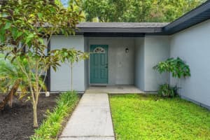 12419 HIDDEN BROOK DRIVE, TAMPA, FL 33624 - MLS#MFRTB8512613