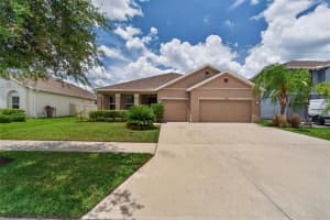 11621 TETRAFIN DRIVE, RIVERVIEW, FL 33579 - MLS#MFRTB8512618