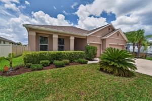 11621 TETRAFIN DRIVE, RIVERVIEW, FL 33579 - MLS#MFRTB8512618