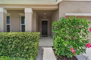 11621 TETRAFIN DRIVE, RIVERVIEW, FL 33579 - MLS#MFRTB8512618