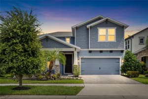 11641 SWEET TANGERINE LANE, TAMPA, FL 33626 - MLS#MFRTB8512622