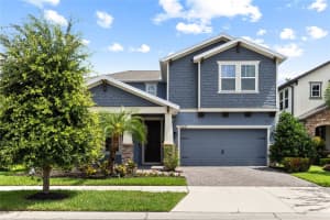 11641 SWEET TANGERINE LANE, TAMPA, FL 33626 - MLS#MFRTB8512622