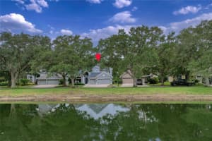 11721 GOTHIC LANE, TAMPA, FL 33626 - MLS#MFRTB8512627