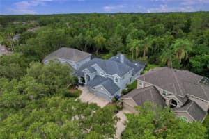 11721 GOTHIC LANE, TAMPA, FL 33626 - MLS#MFRTB8512627