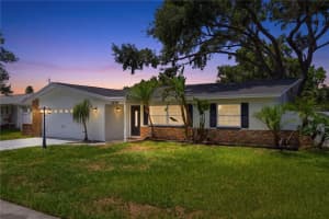 1656 WEBB DRIVE, CLEARWATER, FL 33755 - MLS#MFRTB8512642