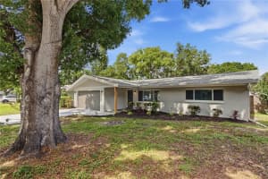 1451 DUNCAN AVENUE, CLEARWATER, FL 33756 - MLS#MFRTB8512702