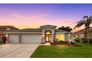 16233 CARNOUSTIE DRIVE, ODESSA, FL 33556 - MLS#MFRTB8512705