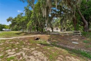 12512 SPOTTSWOOD DR, RIVERVIEW, FL 33579 - MLS#MFRTB8512720