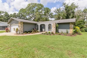 3745 THORNBUSH LANE, NEW PORT RICHEY, FL 34655 - MLS#MFRTB8512738