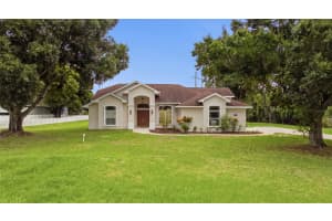 17127 BROWN ROAD, ODESSA, FL 33556 - MLS#MFRTB8512764