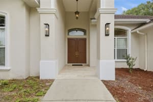 17127 BROWN ROAD, ODESSA, FL 33556 - MLS#MFRTB8512764