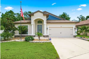 11632 WEAVER HOLLOW ROAD, NEW PORT RICHEY, FL 34654 - MLS#MFRTB8512774