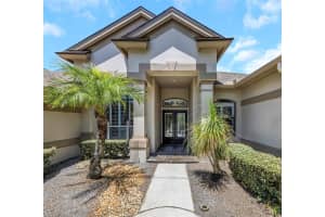 3675 JANUS WAY, PALM HARBOR, FL 34685 - MLS#MFRTB8512885