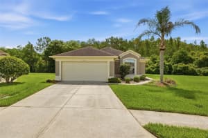 5600 SIR BARTON COURT, WESLEY CHAPEL, FL 33544 - MLS#MFRTB8512897