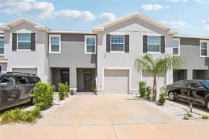 2918 FLOWERING MOSS RUN, WESLEY CHAPEL, FL 33543 - MLS#MFRTB8512898