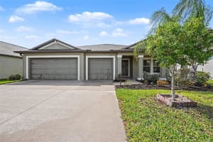 10829 CRUSHED GRAPE DRIVE, RIVERVIEW, FL 33578 - MLS#MFRTB8512902