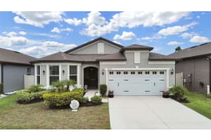 11121 GREEN HARVEST DRIVE, RIVERVIEW, FL 33578 - MLS#MFRTB8512903