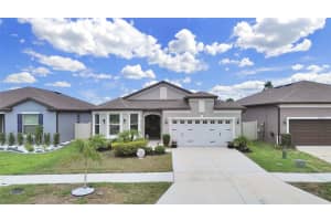 11121 GREEN HARVEST DRIVE, RIVERVIEW, FL 33578 - MLS#MFRTB8512903