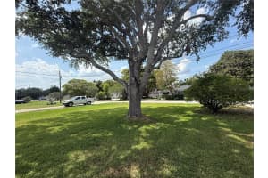 115 ELROD DRIVE, BRANDON, FL 33510 - MLS#MFRTB8512917