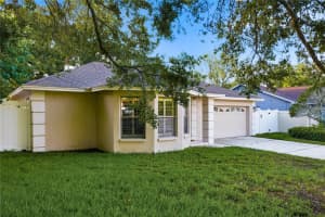 3791 ORCHARD HIGHLANDS DRIVE, PALM HARBOR, FL 34684 - MLS#MFRTB8512932