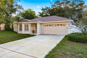 3791 ORCHARD HIGHLANDS DRIVE, PALM HARBOR, FL 34684 - MLS#MFRTB8512932