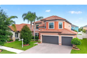 12005 CINNAMON FERN DRIVE, RIVERVIEW, FL 33579 - MLS#MFRTB8512961
