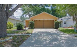 11910 Mango Groves Blvd, SEFFNER