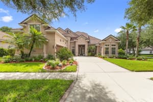 20203 CANE RIVER WAY, TAMPA, FL 33647 - MLS#MFRTB8513012