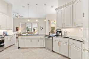 20203 CANE RIVER WAY, TAMPA, FL 33647 - MLS#MFRTB8513012