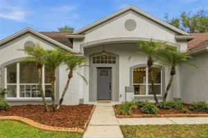 10117 WHISPER POINTE DRIVE, TAMPA, FL 33647 - MLS#MFRTB8513029