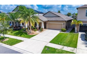10802 Great Cormorant Dr, RIVERVIEW 10802 Great Cormorant Dr, RIVERVIEW