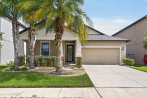 10802 GREAT CORMORANT DRIVE, RIVERVIEW, FL 33579 - MLS#MFRTB8513069