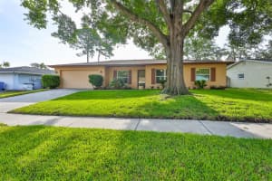 3718 SAND PEBBLE DRIVE, VALRICO, FL 33596 - MLS#MFRTB8513075