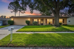 3718 SAND PEBBLE DRIVE, VALRICO, FL 33596 - MLS#MFRTB8513075