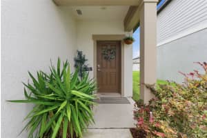 35498 SHADE FERN LANE, ZEPHYRHILLS, FL 33541 - MLS#MFRTB8513109