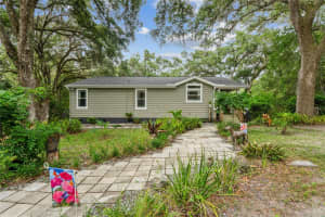 26168 BLACKJACK STREET, BROOKSVILLE, FL 34601 - MLS#MFRTB8513118
