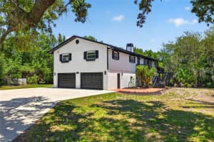 1007 State St E, OLDSMAR