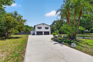 1007 STATE STREET, OLDSMAR, FL 34677 - MLS#MFRTB8513144