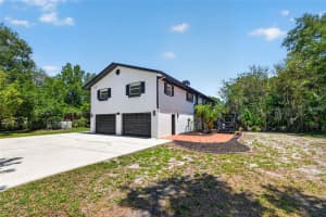 1007 STATE STREET, OLDSMAR, FL 34677 - MLS#MFRTB8513144