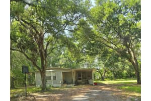 38625 COUNTY LINE ROAD, ZEPHYRHILLS, FL 33540 - MLS#MFRTB8513170