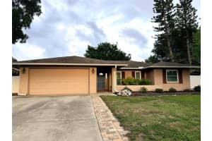 10318 Out Island Dr, TAMPA 10318 Out Island Dr, TAMPA