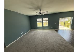 462 SPOTTED SLIPPER PLACE, RUSKIN, FL 33570 - MLS#MFRTB8513213
