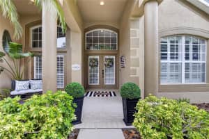 16525 BRIDGEWALK DRIVE, LITHIA, FL 33547 - MLS#MFRTB8513238