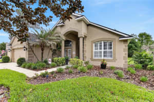 16525 BRIDGEWALK DRIVE, LITHIA, FL 33547 - MLS#MFRTB8513238