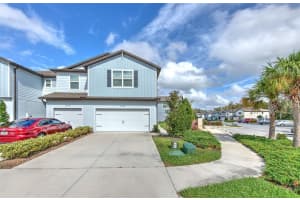 2899 DEER PINE TRAIL, LAND O LAKES, FL 34638 - MLS#MFRTB8513279