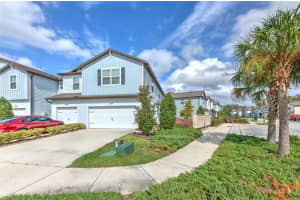 2899 DEER PINE TRAIL, LAND O LAKES, FL 34638 - MLS#MFRTB8513279
