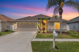 3911 LANGDRUM DRIVE, WESLEY CHAPEL, FL 33543 - MLS#MFRTB8513320