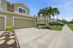 497 HARBOR RIDGE DRIVE, PALM HARBOR, FL 34683 - MLS#MFRTB8513352
